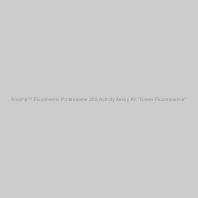 Amplite™ Fluorimetric Proteasome 20S Activity Assay Kit *Green Fluorescence*